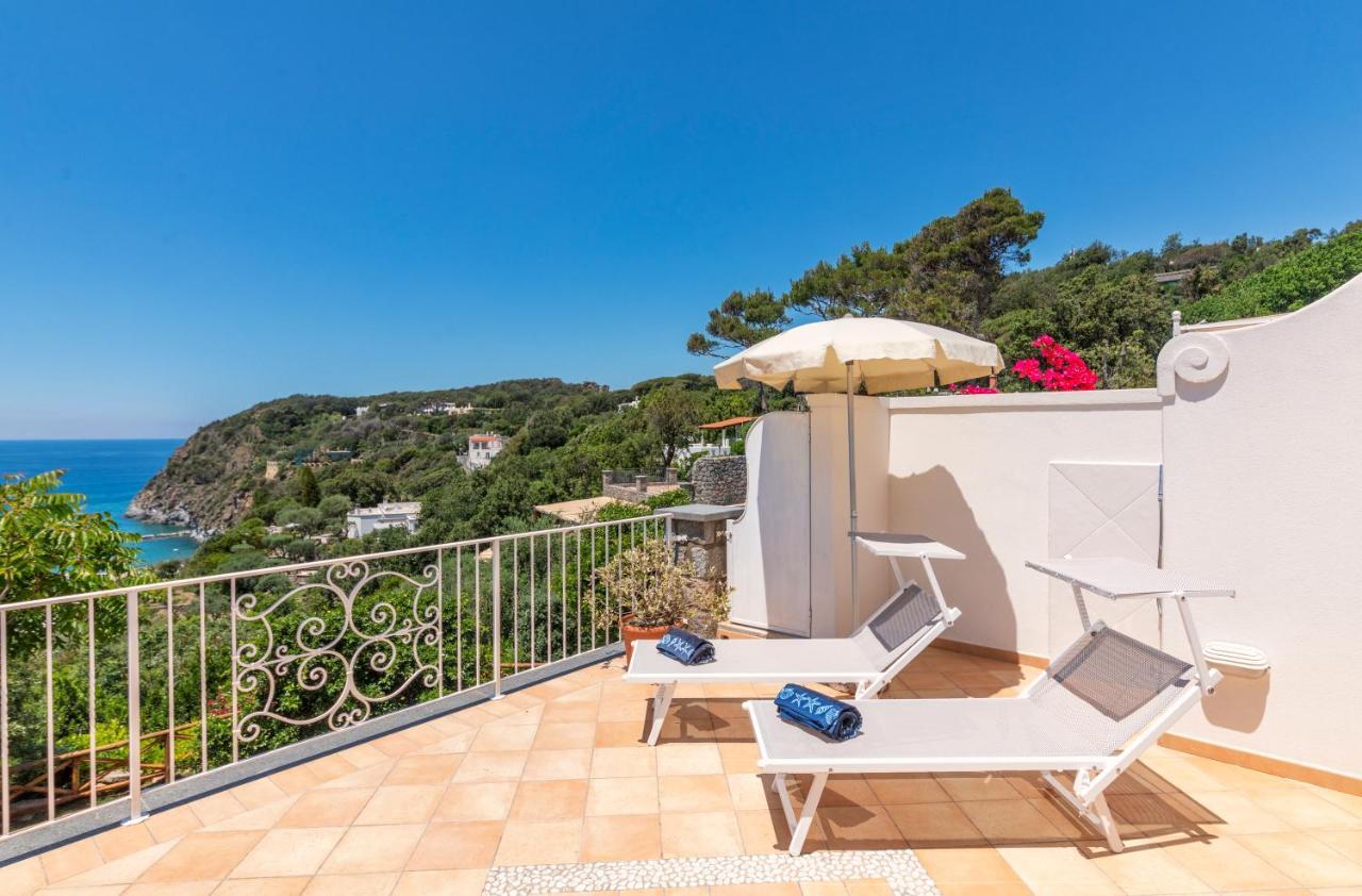 Villa dei Lecci - 5 Luxury villas with private pool or jacuzzi Forio di Ischia Zewnętrze zdjęcie