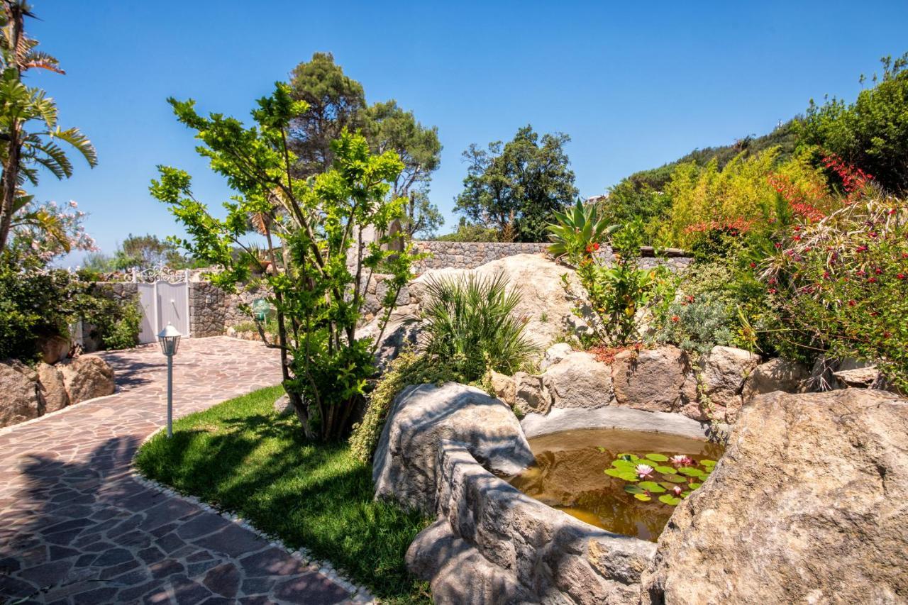 Villa dei Lecci - 5 Luxury villas with private pool or jacuzzi Forio di Ischia Zewnętrze zdjęcie