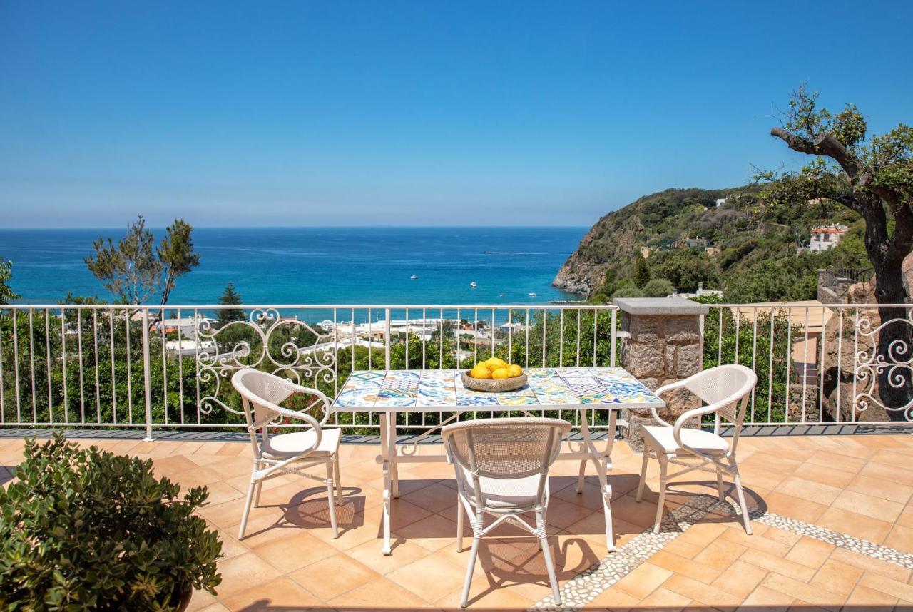 Villa dei Lecci - 5 Luxury villas with private pool or jacuzzi Forio di Ischia Zewnętrze zdjęcie