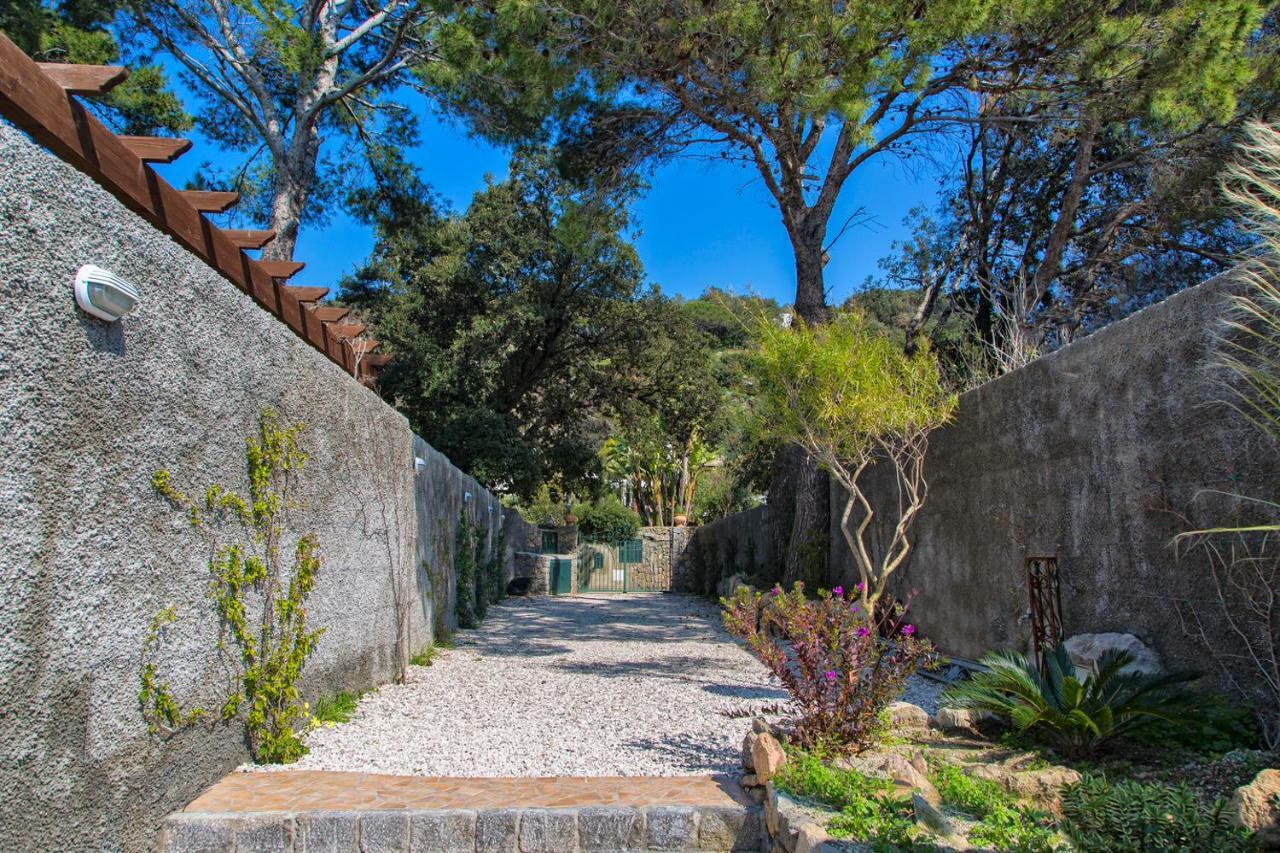 Villa dei Lecci - 5 Luxury villas with private pool or jacuzzi Forio di Ischia Zewnętrze zdjęcie