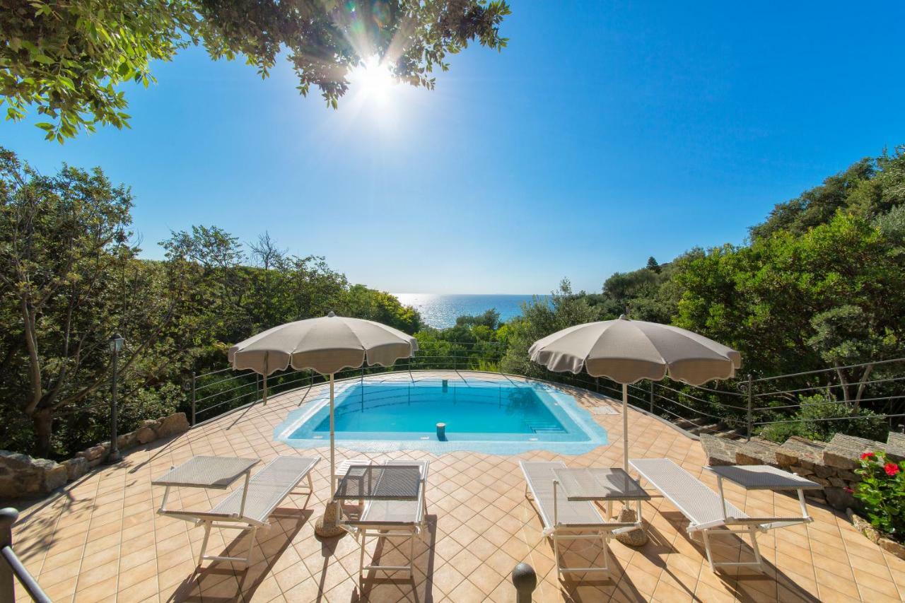 Villa dei Lecci - 5 Luxury villas with private pool or jacuzzi Forio di Ischia Zewnętrze zdjęcie
